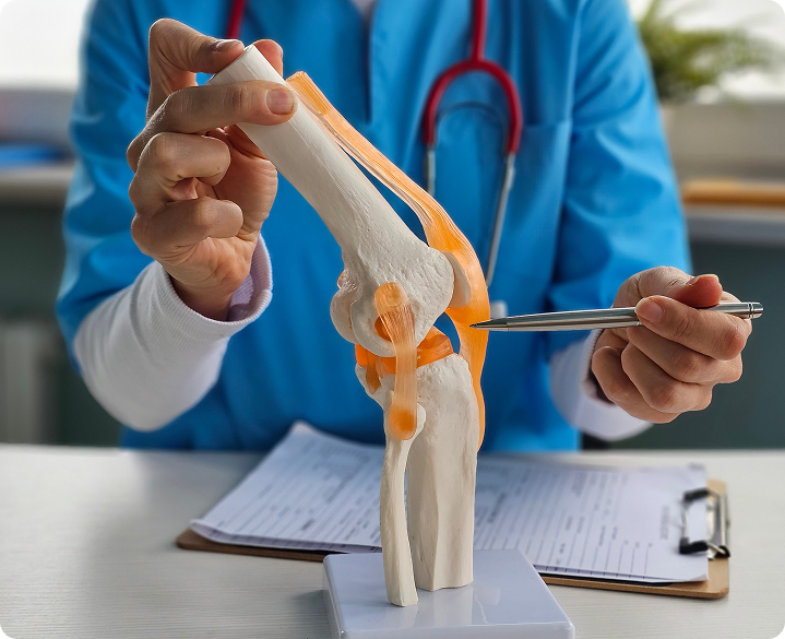 A doctor pointing to a diagram of an ACL