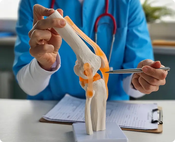 A doctor pointing to a diagram of an ACL