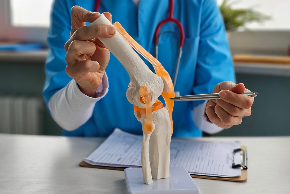 A doctor pointing out an ACL on an anatomical diagram.