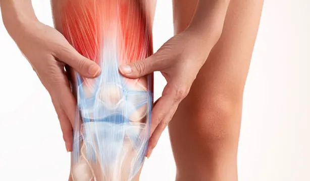 Medical illustration showing tendon inflammation in a joint